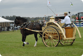 thameshow-attractions